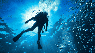 Diving Gear Essentials: Must-Haves for Safe and Exciting Dives
