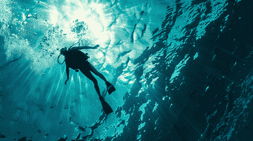 Sharing the Love for Diving: Building Community and Connections Through the Sport