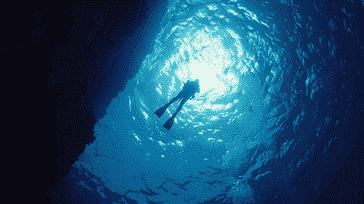 Solo vs. Group Dives: Choosing Your Diving Experience